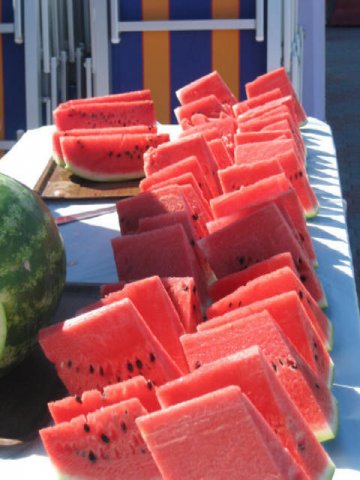 spiaggia 088